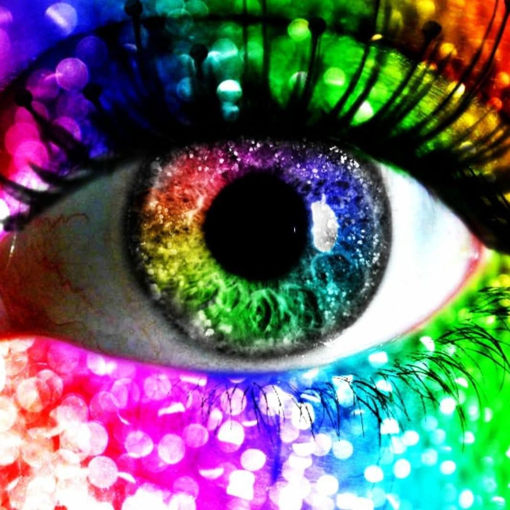 Meet your Posher, Connie